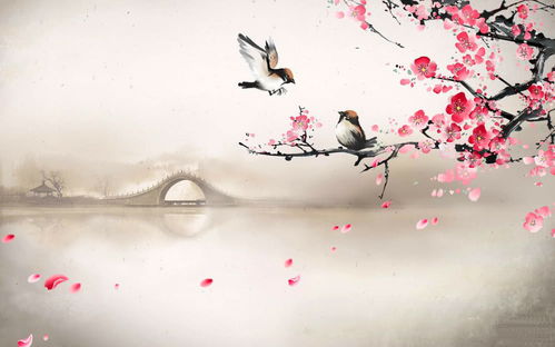 蘇東坡最有趣的一首詩,不懂的別解釋,看完一笑而過