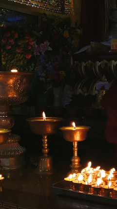 秋山無樹故崚嶒,幾度支筇未忍登。 荒路行愁逢牧馬,舊交老漸變高僧。 鐘樓自吼南朝寺,佛塔還燃半夜燈。 莫向雨花臺北望,寒云黯淡是鐘陵。